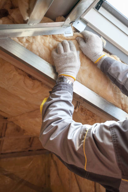 Best Insulation Removal Services  in Houston, MS