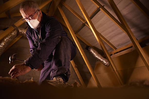 Best Attic Insulation Near Me  in Houston, MS